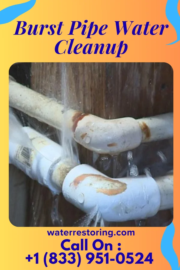 Burst Pipe Water Cleanup in Lind, WA