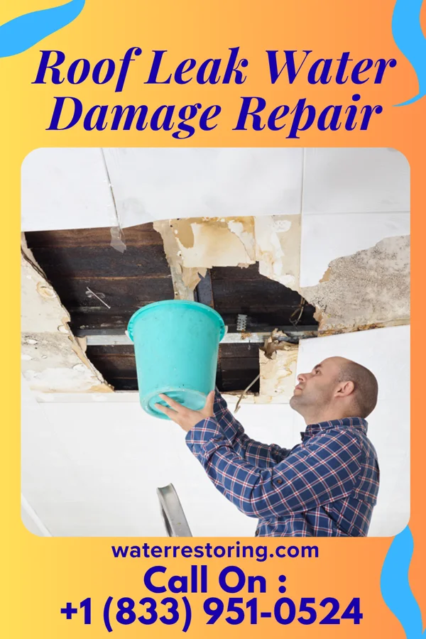 Roof Leak Water Damage Repair in Lind, WA