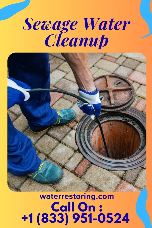 Sewage Water Cleanup in Lind, WA